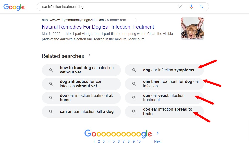 ear-infection-treatment-dogs-Google-Search